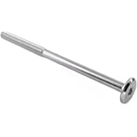 Muebles Conector tornillos- bañado en Zinc- M6 x 100 mm- 25 unidades)